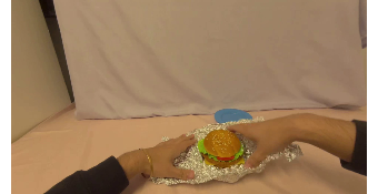 Recorded EgoDex future clip frame