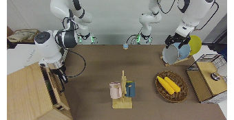 Recorded RoboMIND Franka-dual future clip frame
