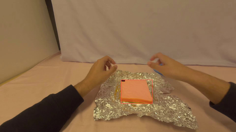 EgoDex current frame used in the original objective figure