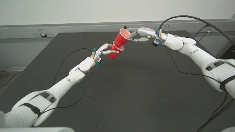Recorded Fast-WAM Split Cup real-robot execution from the paper