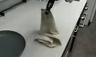 Recorded DROID query crop